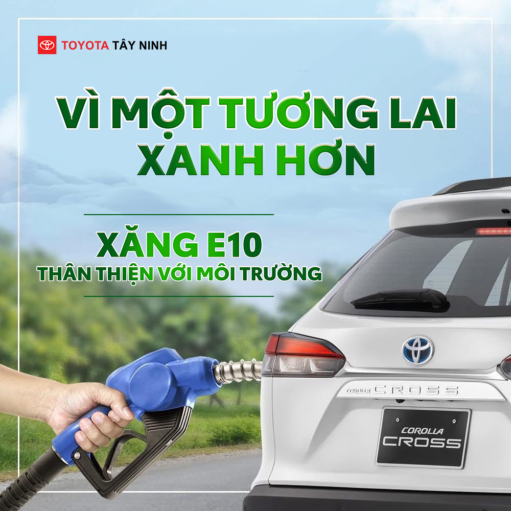 PHÂN TÍCH TOÀN DIỆN VỀ XĂNG E10 — NGUYÊN LÝ, ẢNH HƯỞNG, XE NÀO KHÔNG NÊN DÙNG